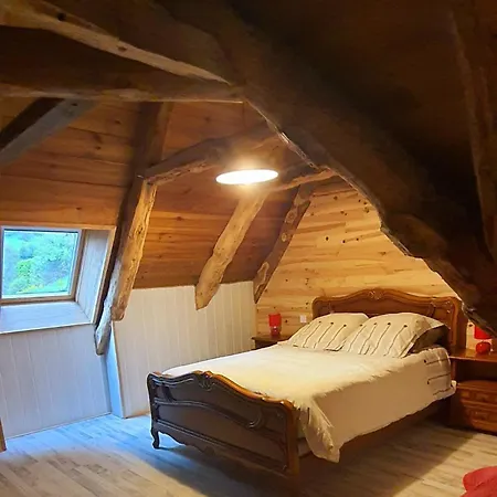 Hibiscus * Les Violes