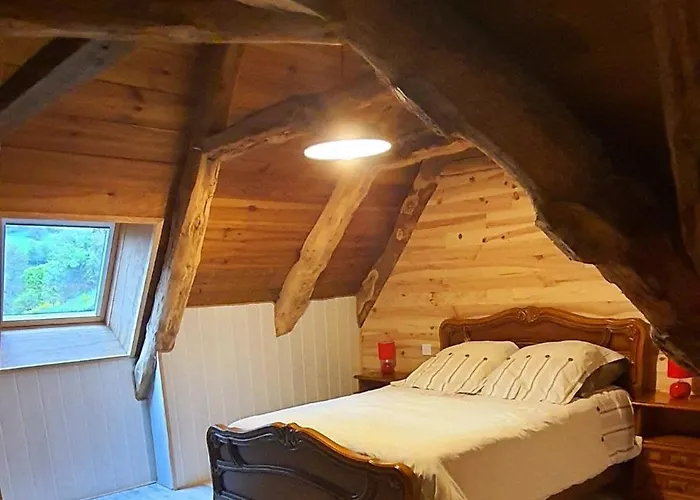 Hibiscus * Les Violes