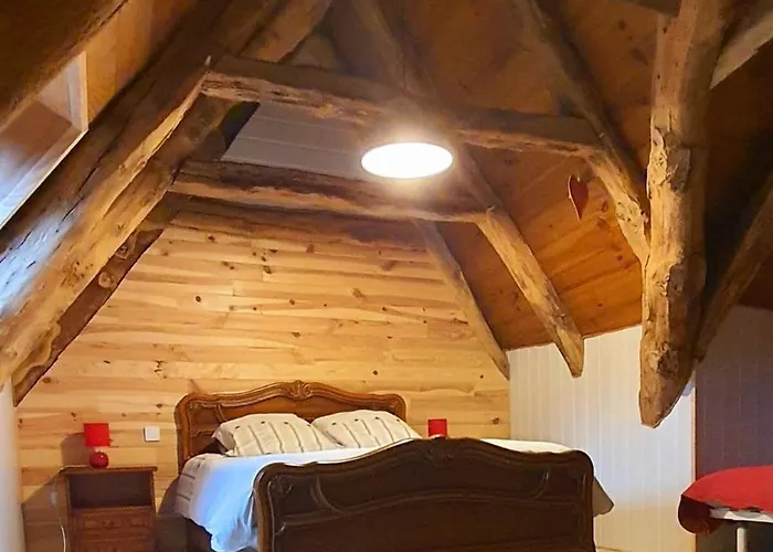 Hibiscus Nyaraló Les Violes